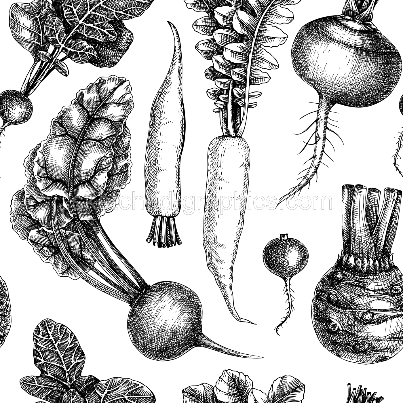 Fresh root vegetables background. Root plants sketches design. Garden vegetable seamless pattern. Hand-sketched beet, radish, daikon, celery, turnip backdrop for or menu, wrapping paper, packaging Illustration